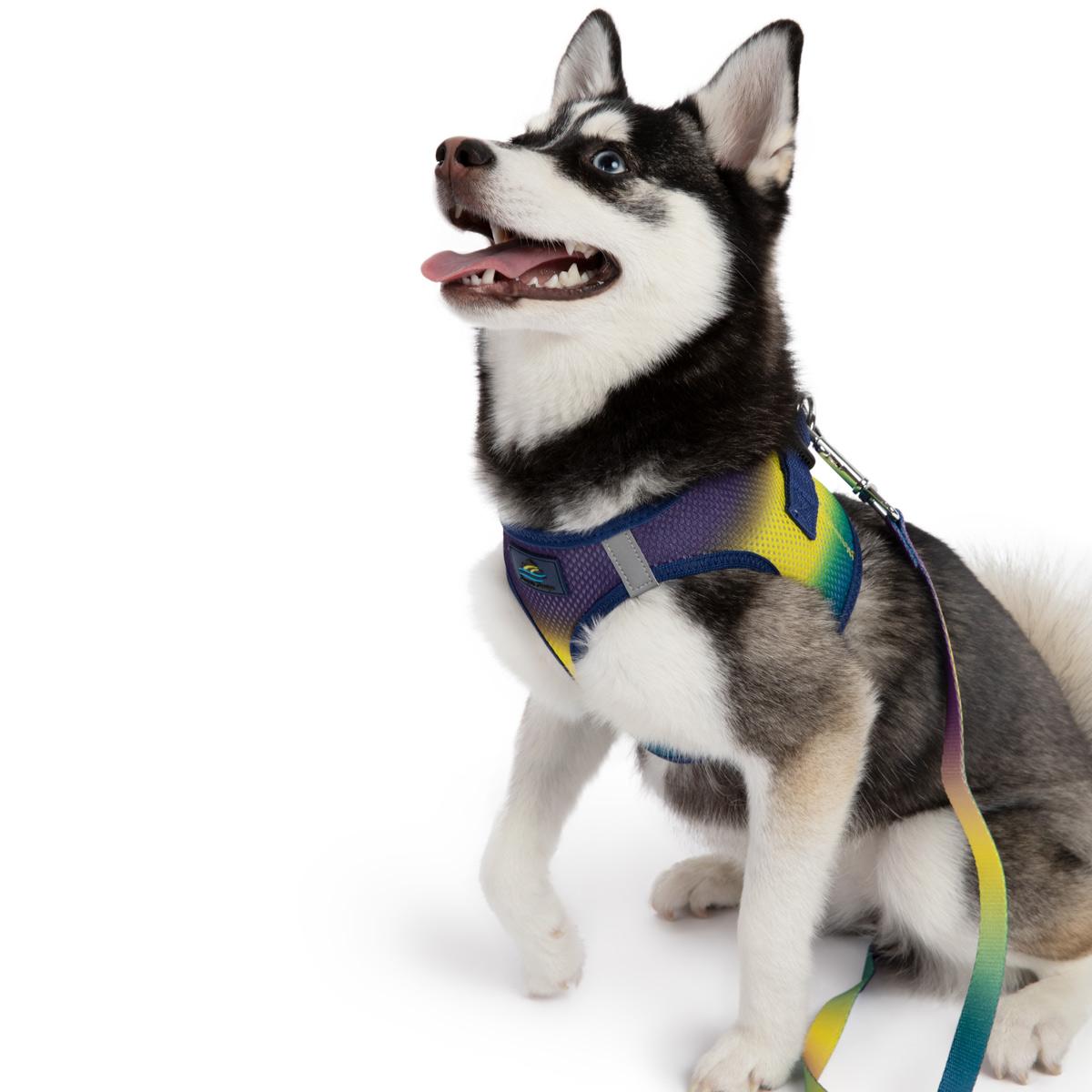 American River Choke Free Dog Harness Ombre Collection - Cosmic Splash