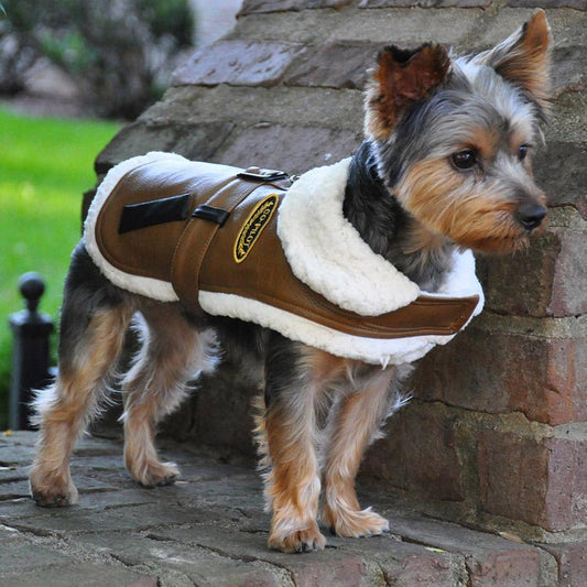 Brown and Black Faux Leather Bomber Dog Coat Harness and Leash