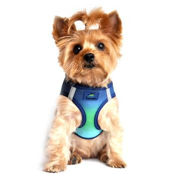 American River Choke Free Dog Harness Ombre Collection - Northern Lights