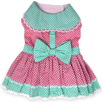 Polka Dot and Lace Dog Dress Set with Matching Leash